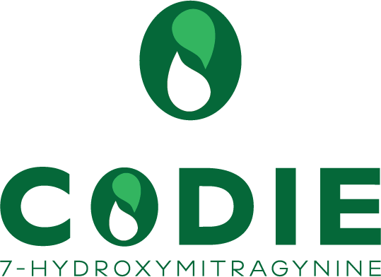 Codie Labs